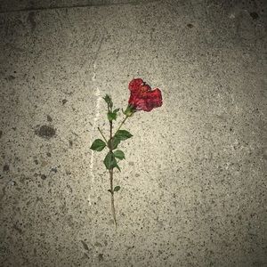 Meet your Posher, Obi